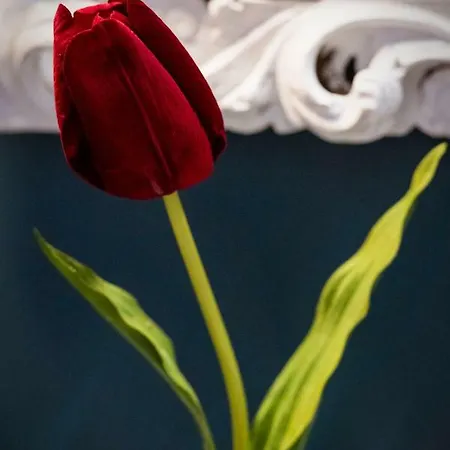 Bonjardim By Lovelystay Oporto